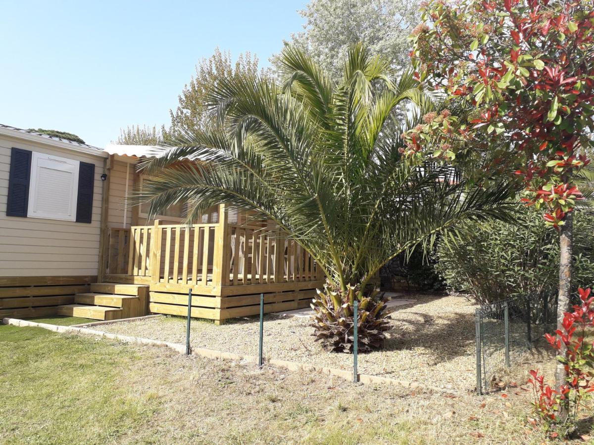 Campingplatz Mobil Neuf 2 6 Personnes Saint Aygulf